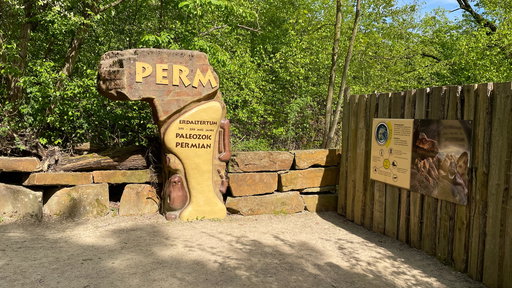 Perm