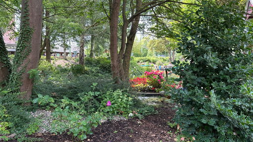 Blumenmeer-Bootsfahrt