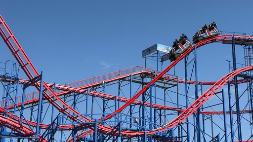 Bulldog Coaster