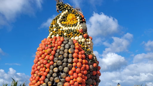 Pumpkin Farm