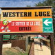 Luge