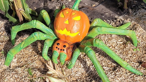 Pumpkin Farm