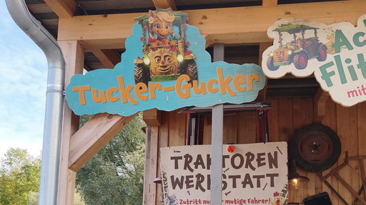Schiggeduemm