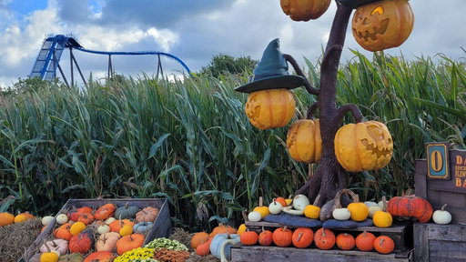 Pumpkin Farm