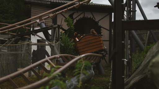 Fridolin's verrückter Zauberexpress