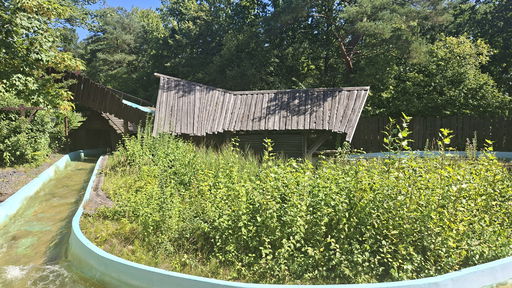 Wildwasserfahrt - Der Wasserwolf am Ilmensee