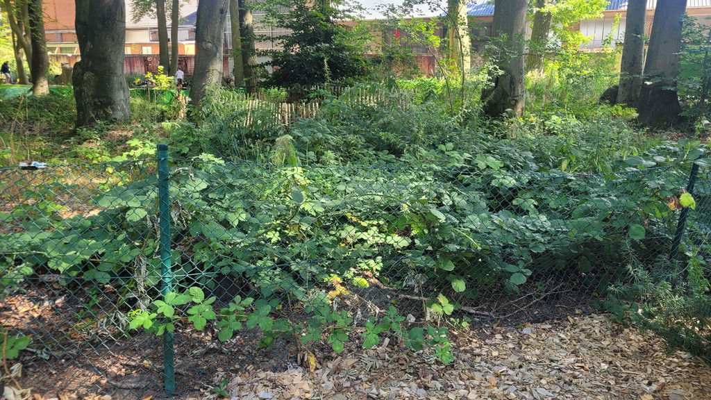 Mechanische Pferdereitbahn