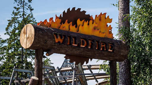Wildfire