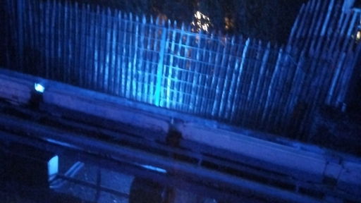 blue fire Megacoaster