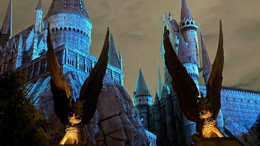 Harry Potter and the Forbidden Journey