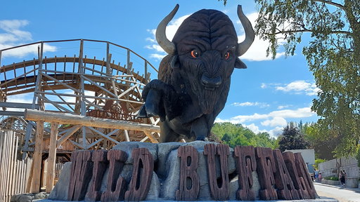 Wild Buffalo