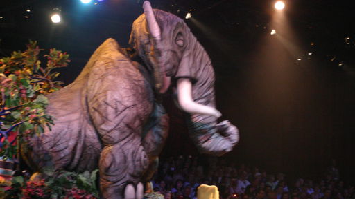 Festival of the Lion King