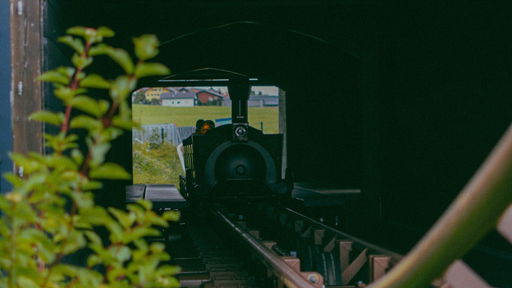 Fridolin's verrückter Zauberexpress