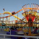 Wild Mouse