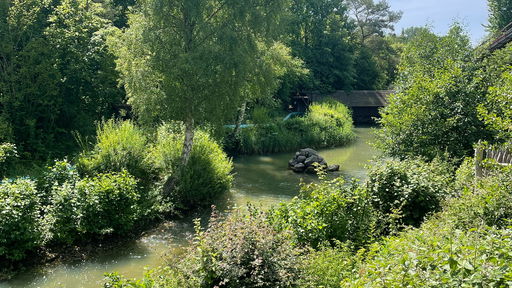 Wildwasserfahrt - Der Wasserwolf am Ilmensee