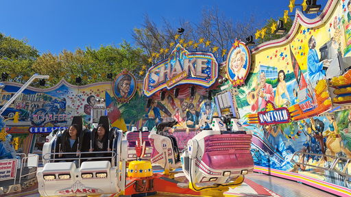 Shake & Roll (Schäfer)