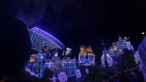 Disney Starlight