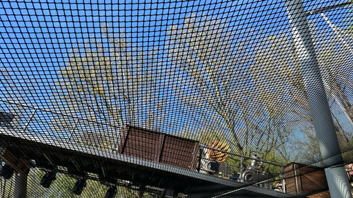 Pegasus - Die YoungStar Achterbahn