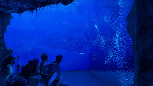 Monte Carlo