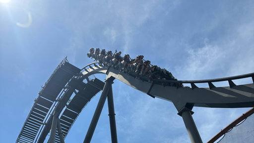 Raptor