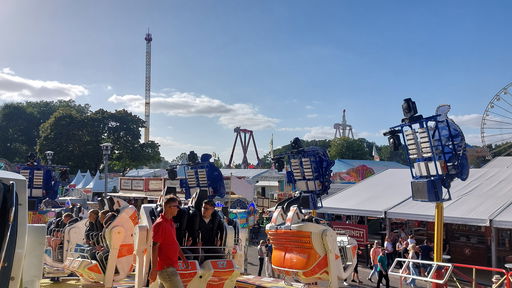 Commander (Hanstein)