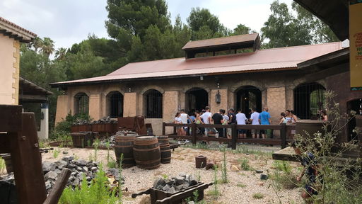 El Diablo - Tren de la Mina