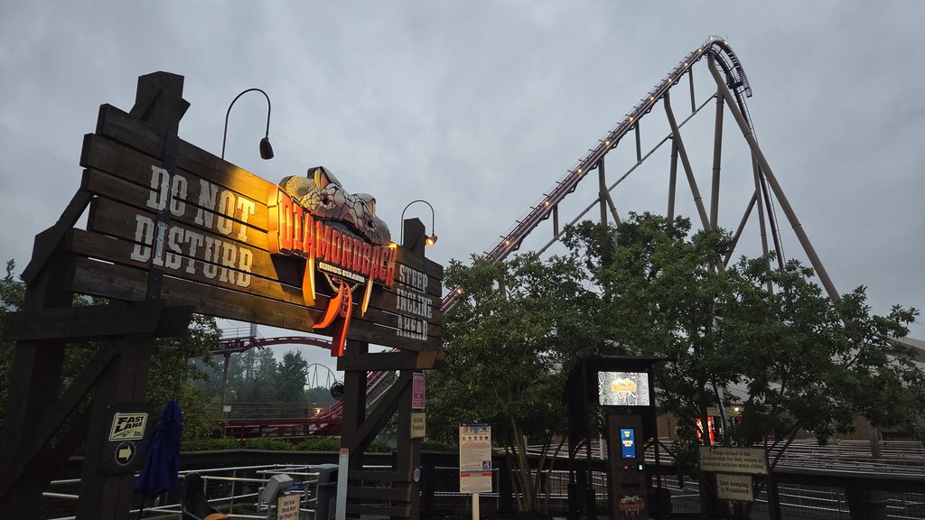 Diamondback