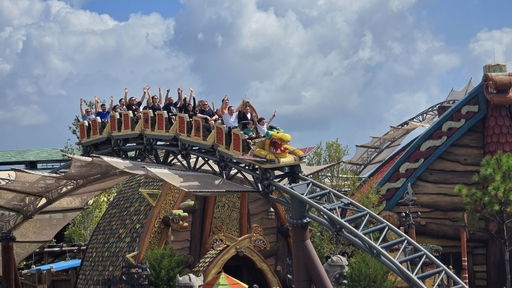 Hiccup's Wing Gliders