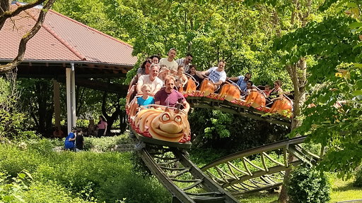Rasender Tausendfüßler