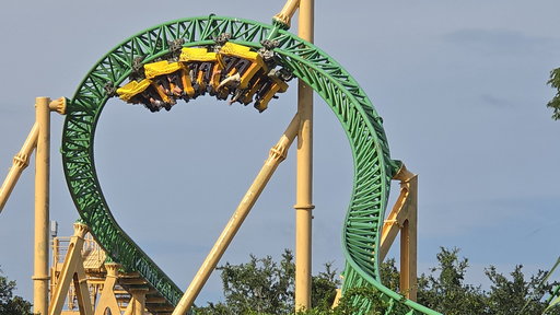 Cheetah Hunt