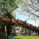 Drakkar Express
