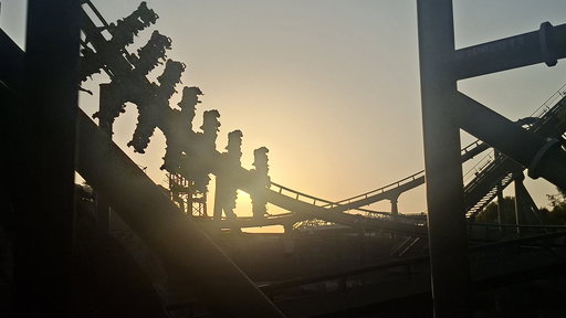 Raptor