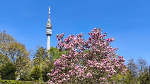 Florianturm