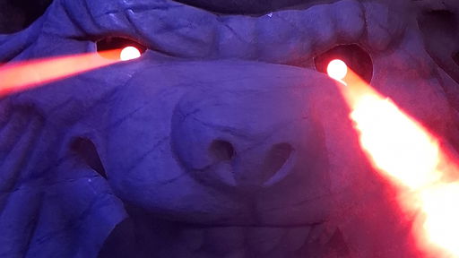 Animal Treasure Island