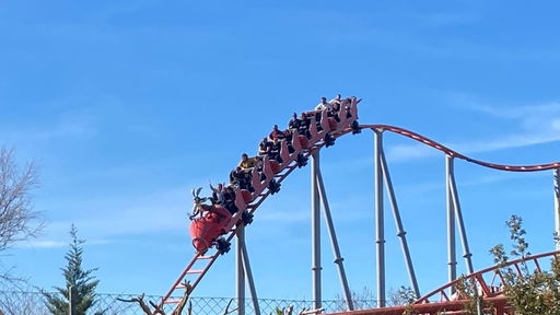 CORRECAMINOS Bip Bip