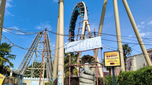 Cobra