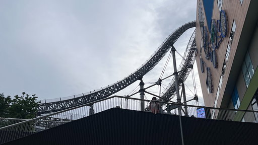 Thunder Dolphin