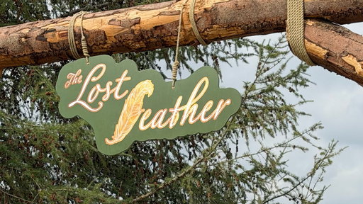 The Lost Feather