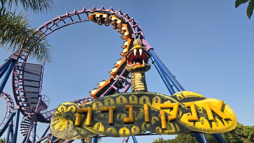 Anaconda (אנקונדה)