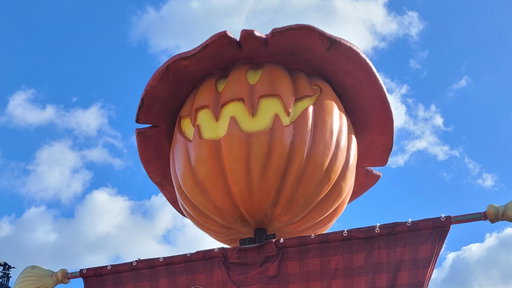 Pumpkin Farm