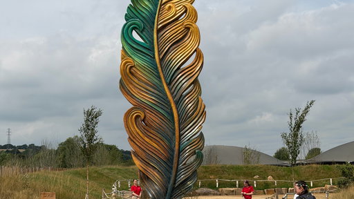 The Lost Feather