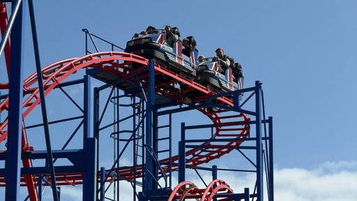 Bulldog Coaster