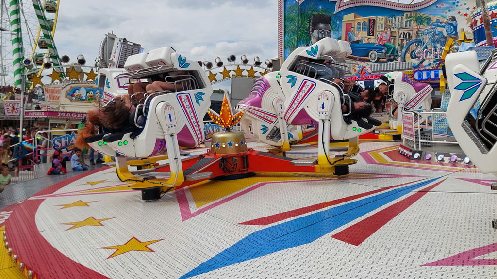 Shake & Roll (Schäfer)