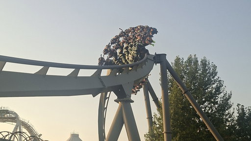 Raptor