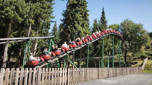 Marienkäferbahn