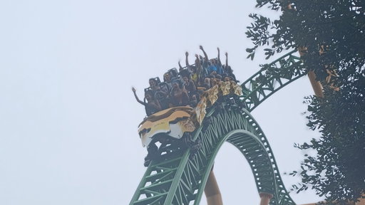 Cheetah Hunt