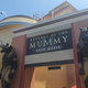 Revenge of the Mummy - The Ride
