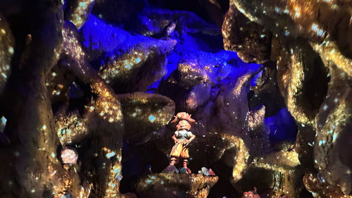 Animal Treasure Island
