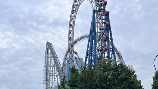 Thunder Dolphin