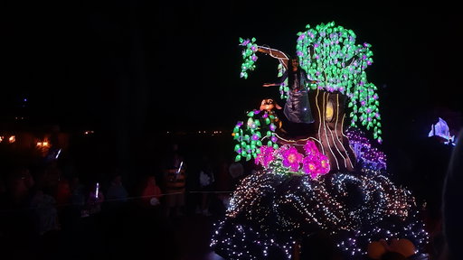 Disney Starlight
